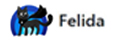 Descargar Felida